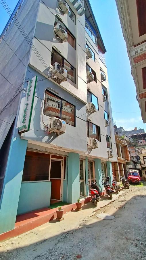 Bodhi Tree Hostel Катманду Экстерьер фото